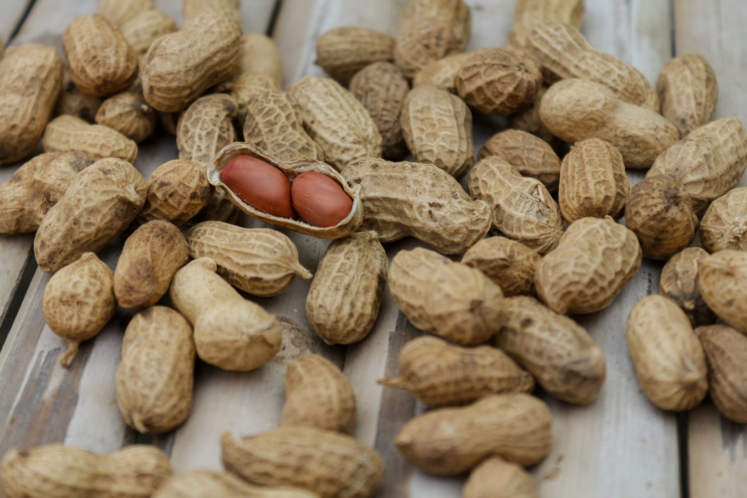 A (Sort of) Yankee Girl's Guide to Boiled Peanuts